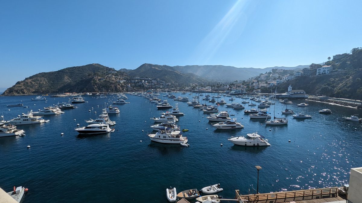 Avalon harbor from above — dozens of yachts and boats moored in vivid blue water, surrounded by golden hillsides