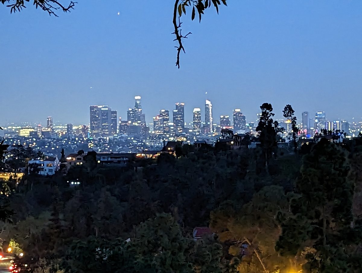 The downtown Los Angeles skyline lit up at night, seen through trees from the hillside
