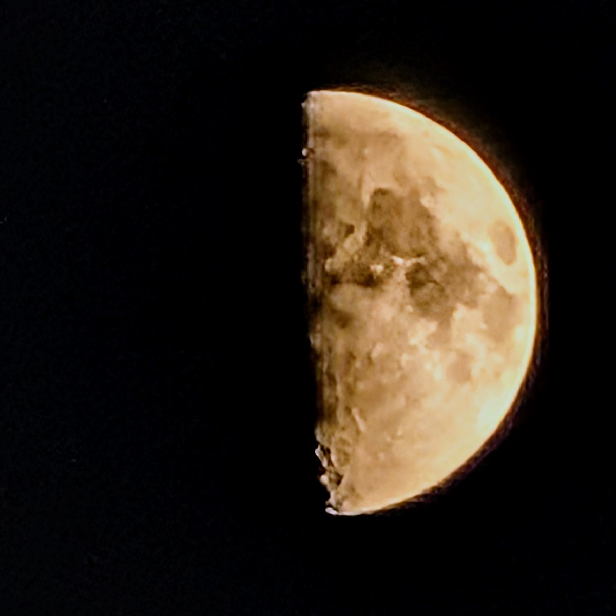 A half-moon in golden amber tones against a black sky, craters clearly visible