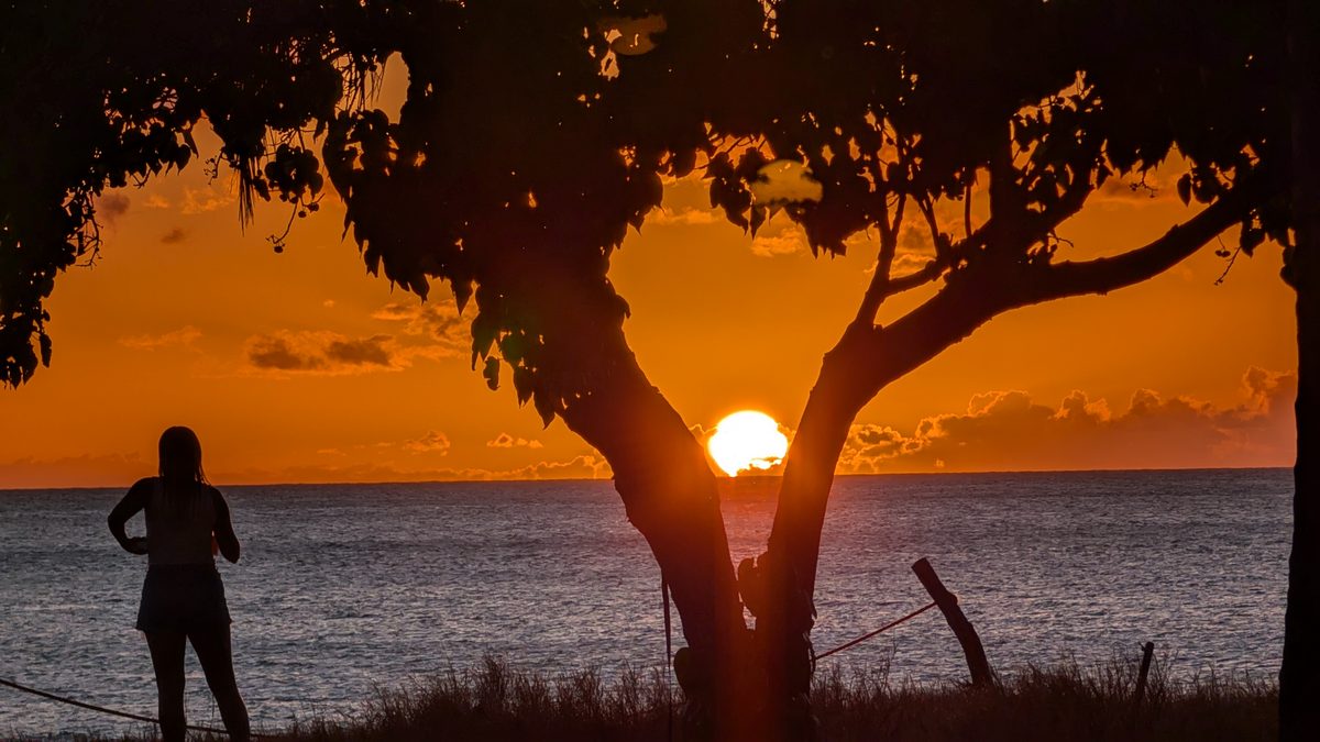 Ako silhouetted under a tree against a blazing orange Ka'anapali sunset, Pacific Ocean behind her