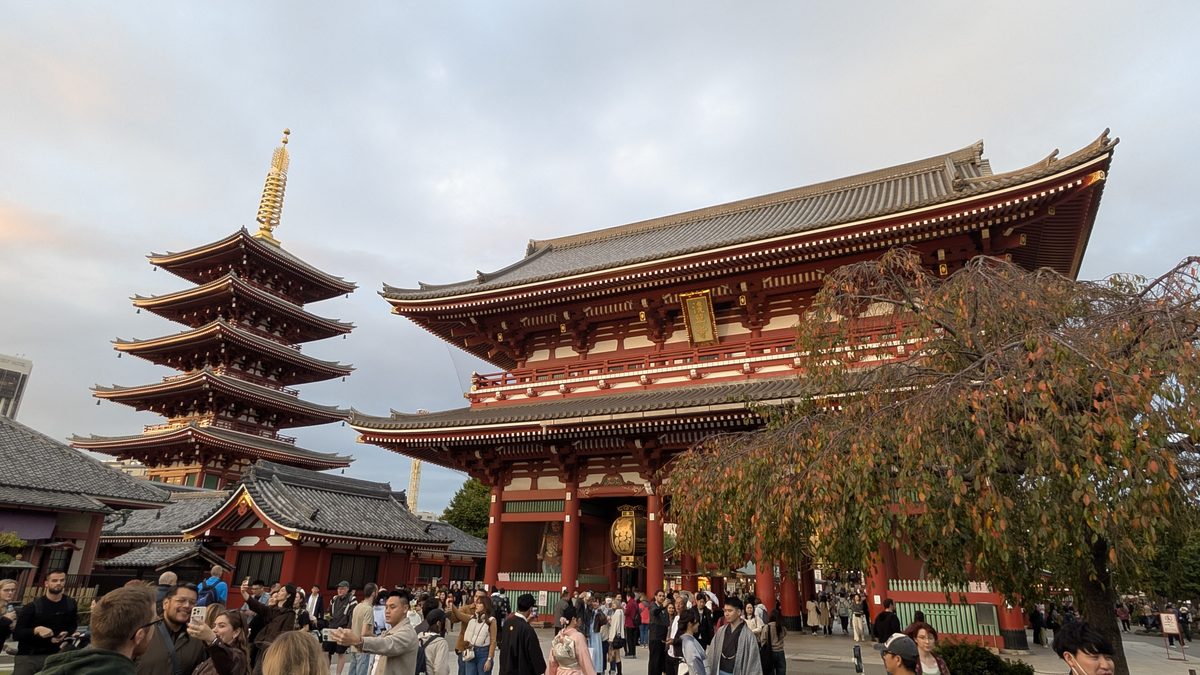 Daytime view of Sensoji — the five-story pagoda and the main hall with autumn foliage and crowds