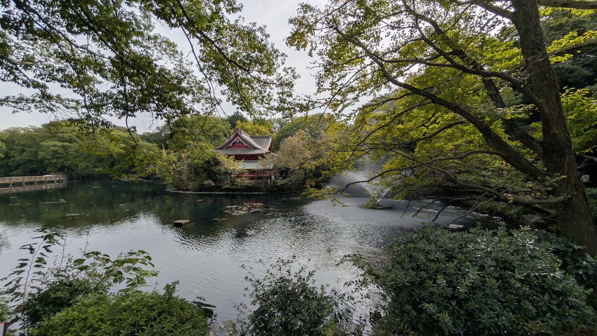 Inokashira Park pond with a red Benzaiten shrine pavilion across the water