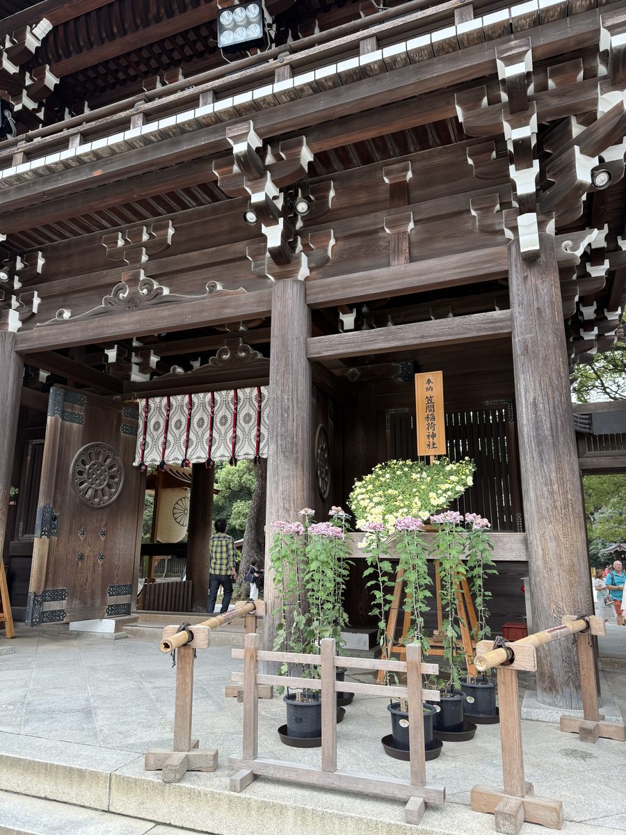 A chrysanthemum display dedicated by Kasama Inari Shrine, part of the kiku matsuri exhibit