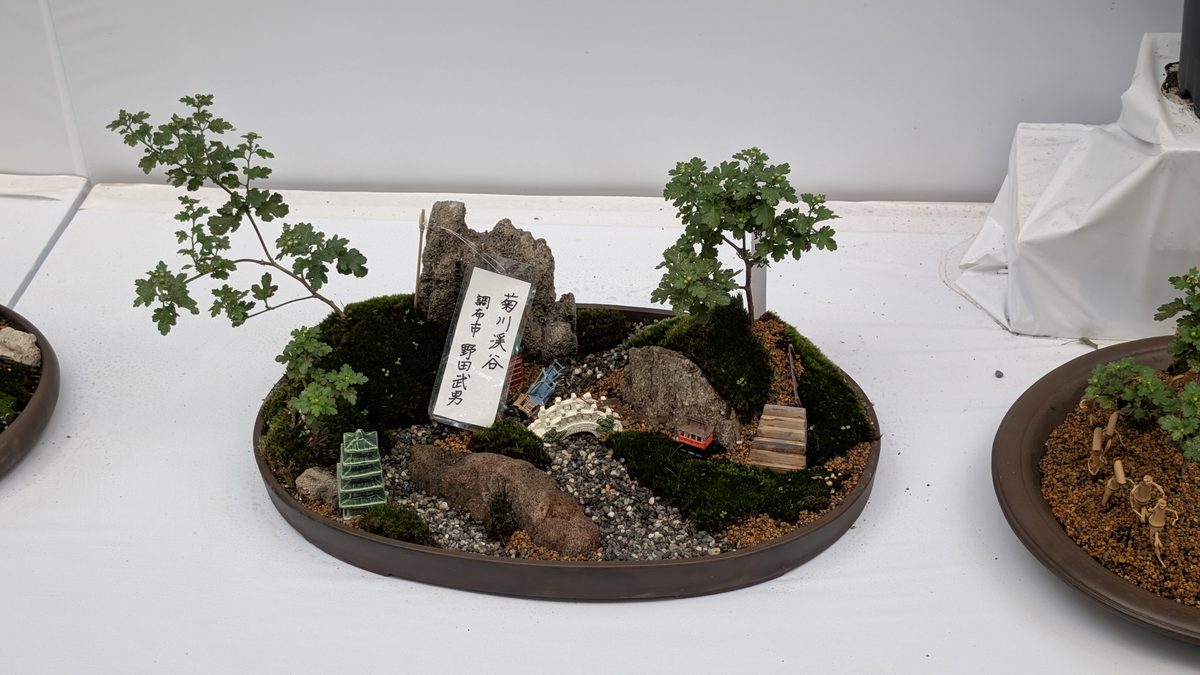A miniature tray landscape with moss, rocks and chrysanthemums on display