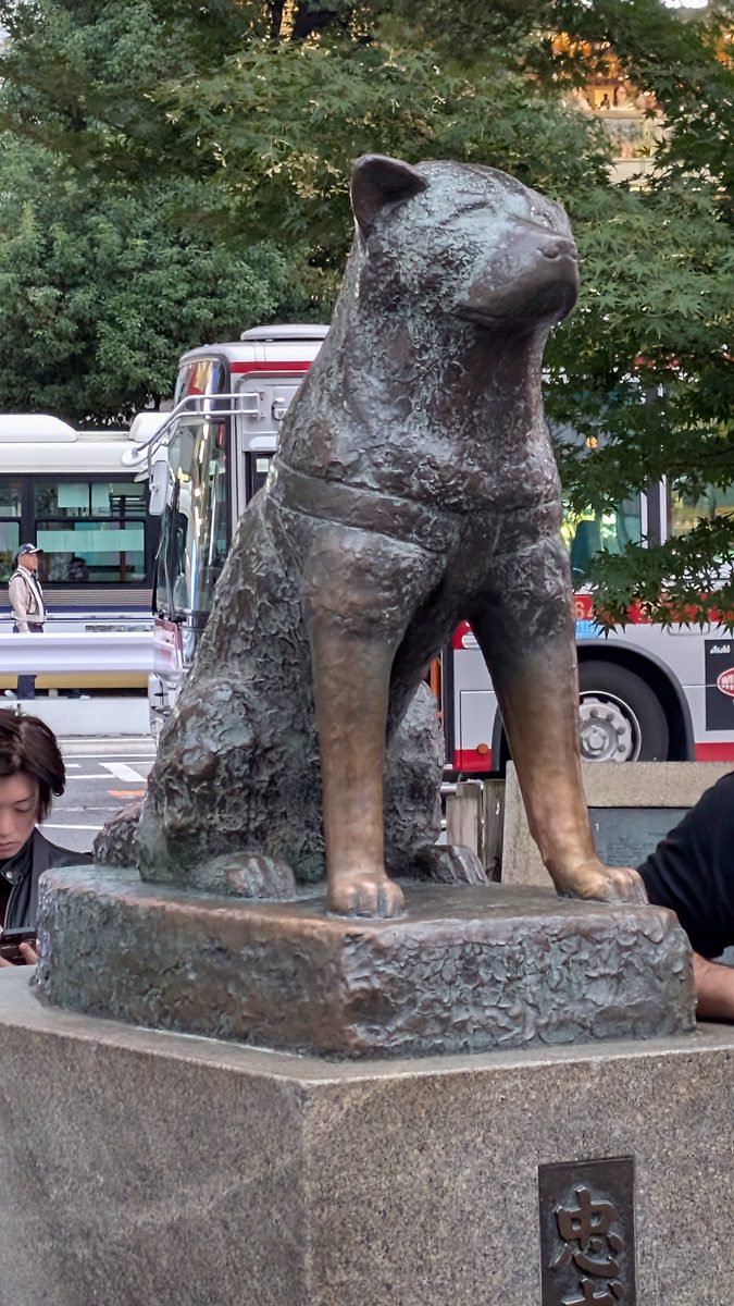 The bronze Hachiko statue, a seated Akita dog, outside Shibuya Station