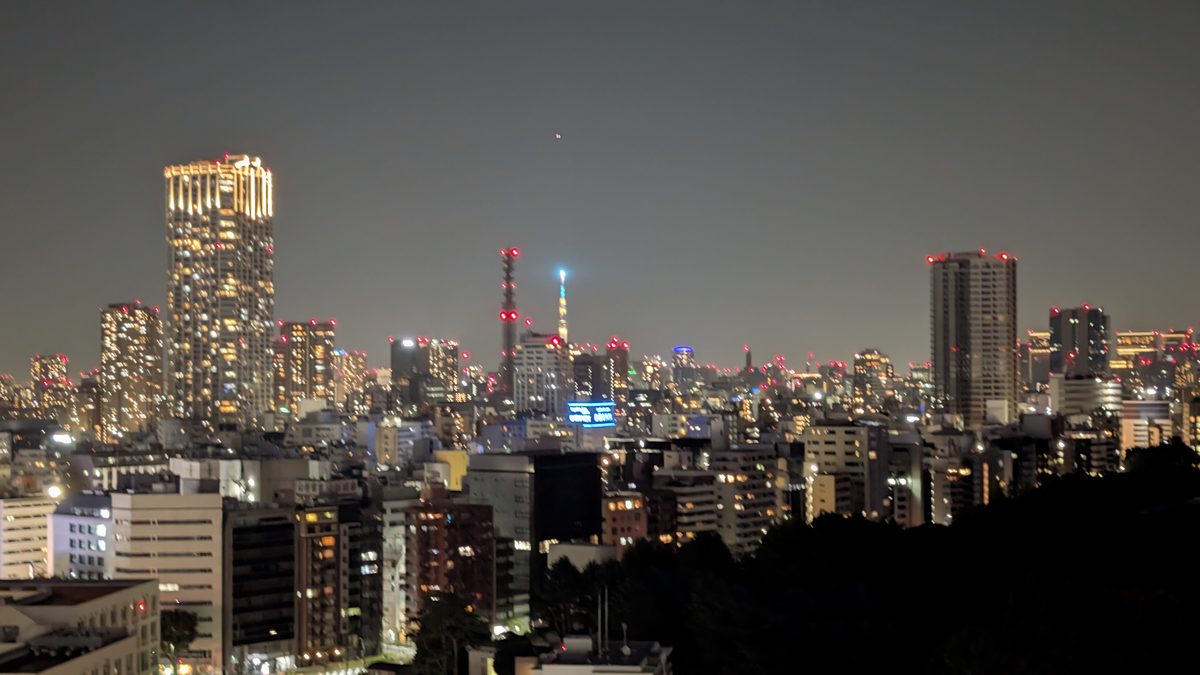 Night skyline panorama of Tokyo with the Skytree visible on the horizon