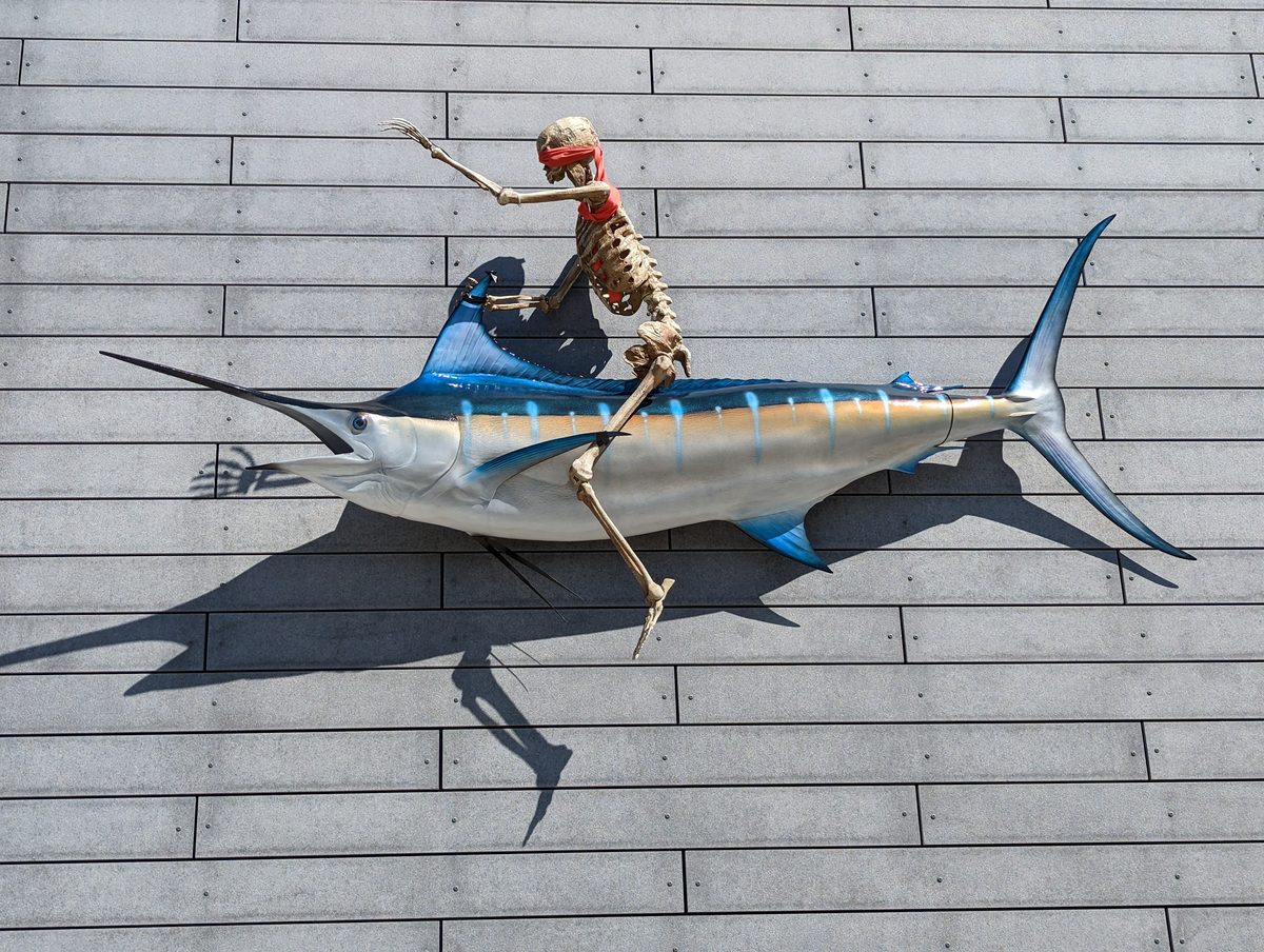 Public art of a skeleton riding a blue marlin mounted on a grey wall